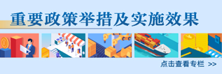 重要政策舉措及實施效果